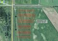 Beitarholf-