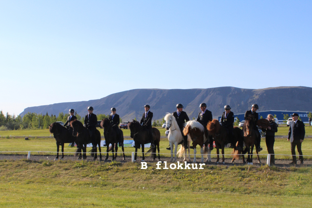 W B flokkur