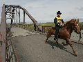 tholreid