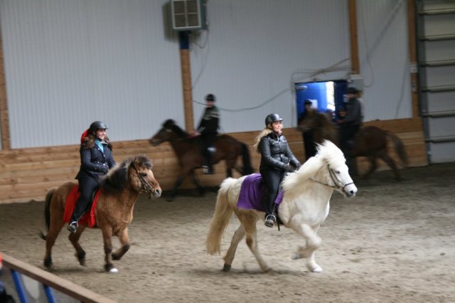 Fjölskyldudagur Æskulýðsnefndar 2015