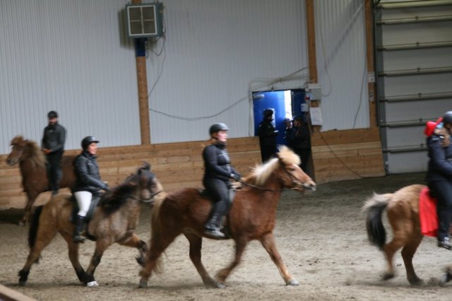 Fjölskyldudagur Æskulýðsnefndar 2015