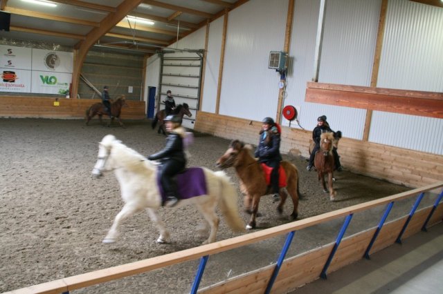 Fjölskyldudagur Æskulýðsnefndar 2015