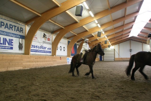 Hestafjör 2015