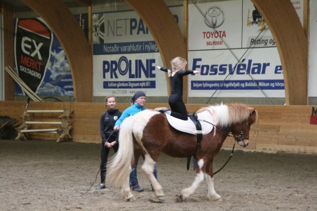 Hestafjör 2015