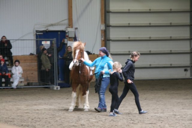 Hestafjör 2015