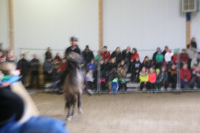 Hestafjör 2015