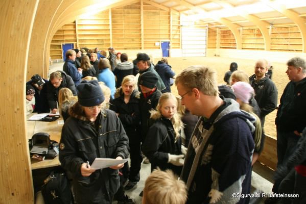 Raðað í hópa 2011