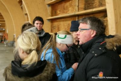 Raðað í hópa 2011