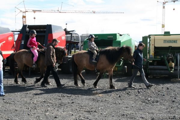 Sunnlenskir sveitadagar 2011