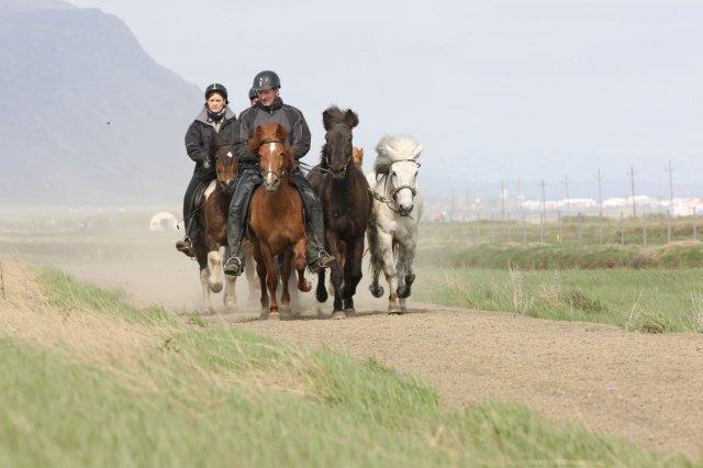 Baðtúr 2008