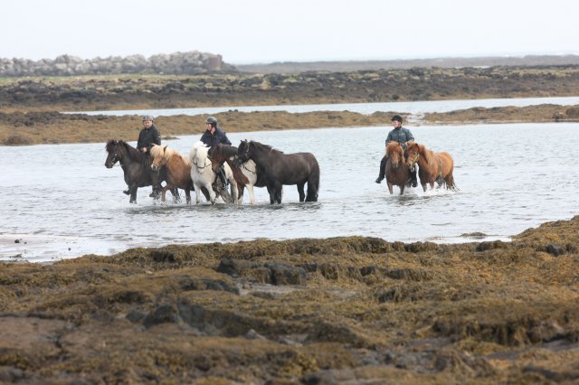 Baðtúr 2008