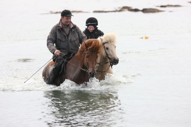 Baðtúr 2008