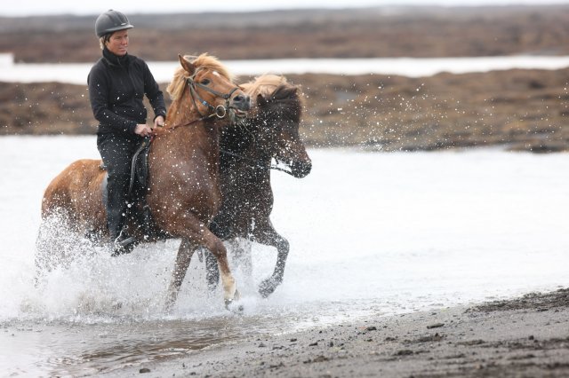 Baðtúr 2008