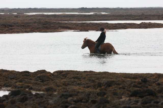 Baðtúr 2008