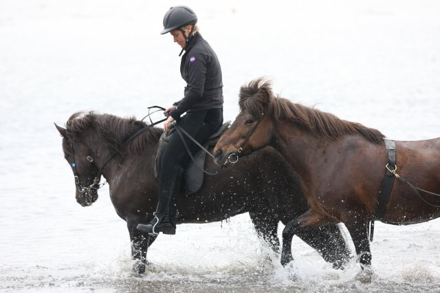 Baðtúr 2008