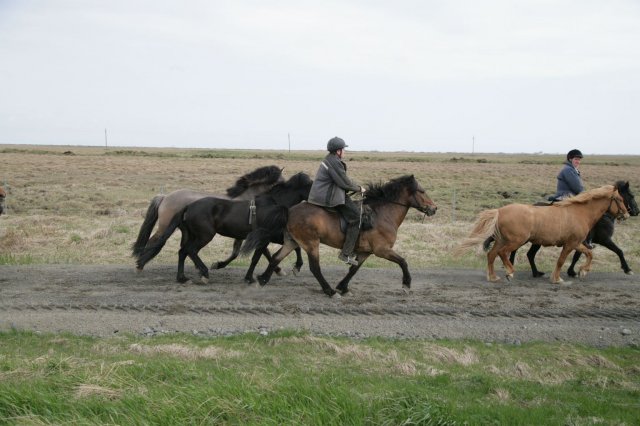 Baðtúr 2008