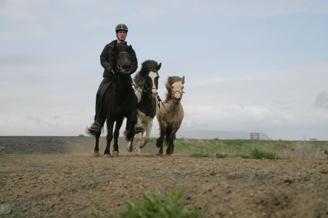 Baðtúr 2008