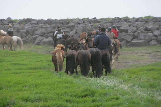 Baðtúr 2008