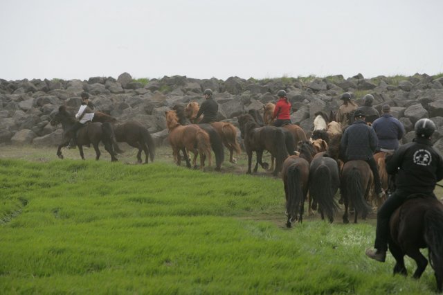 Baðtúr 2008