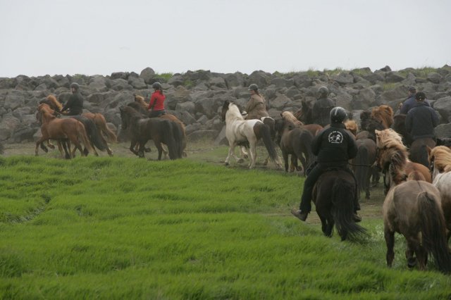 Baðtúr 2008