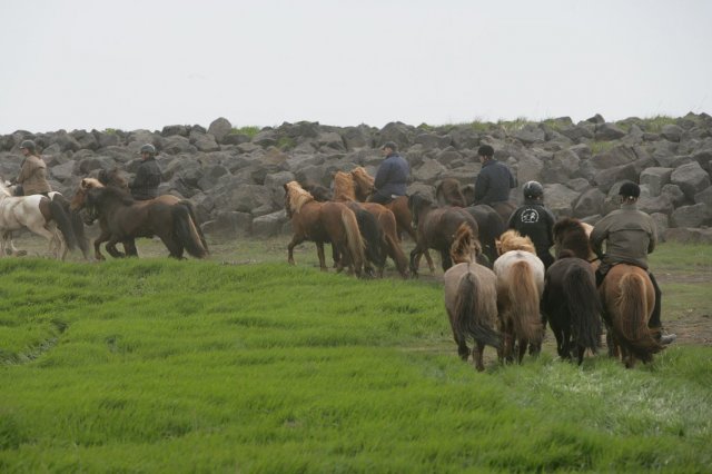 Baðtúr 2008