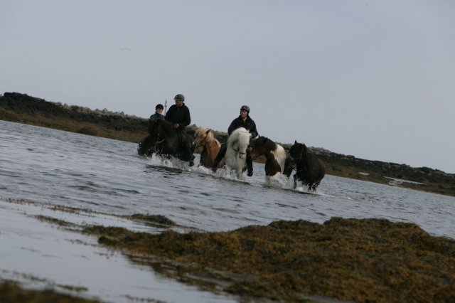 Baðtúr 2008