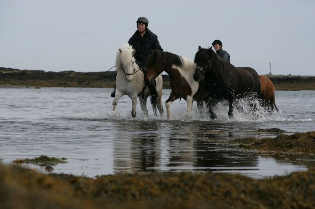 Baðtúr 2008