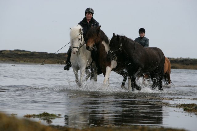 Baðtúr 2008