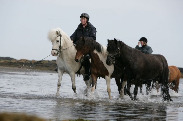 Baðtúr 2008