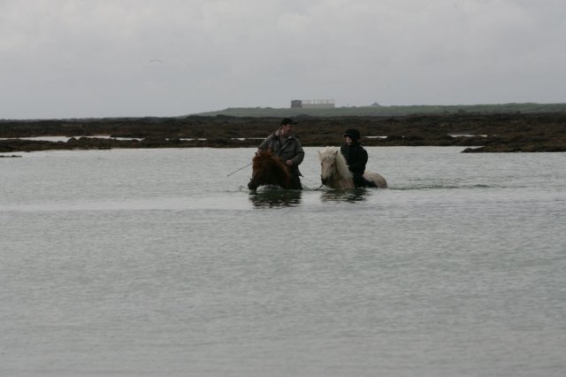 Baðtúr 2008