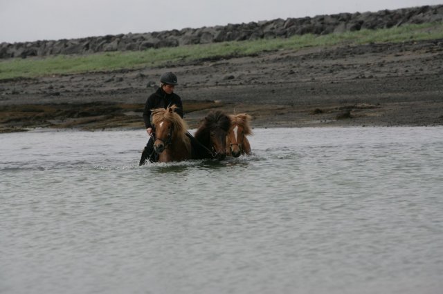 Baðtúr 2008