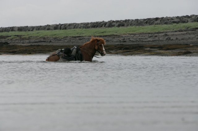 Baðtúr 2008