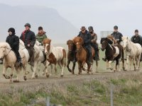 Baðtúr 2008