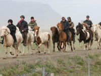 Baðtúr 2008