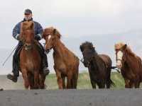 Baðtúr 2008