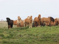 Baðtúr 2008