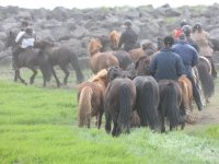 Baðtúr 2008