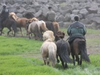 Baðtúr 2008