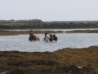 Baðtúr 2008