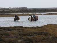 Baðtúr 2008