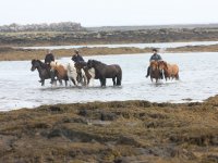 Baðtúr 2008