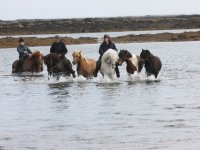 Baðtúr 2008