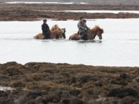 Baðtúr 2008