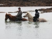 Baðtúr 2008