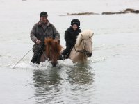 Baðtúr 2008