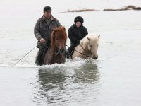 Baðtúr 2008