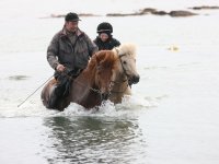 Baðtúr 2008