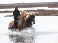 Baðtúr 2008