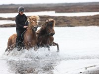 Baðtúr 2008