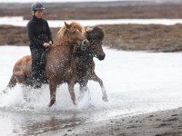 Baðtúr 2008